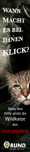Wildkatze_Bund